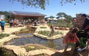 lady-bird-johnson-wildflower-center